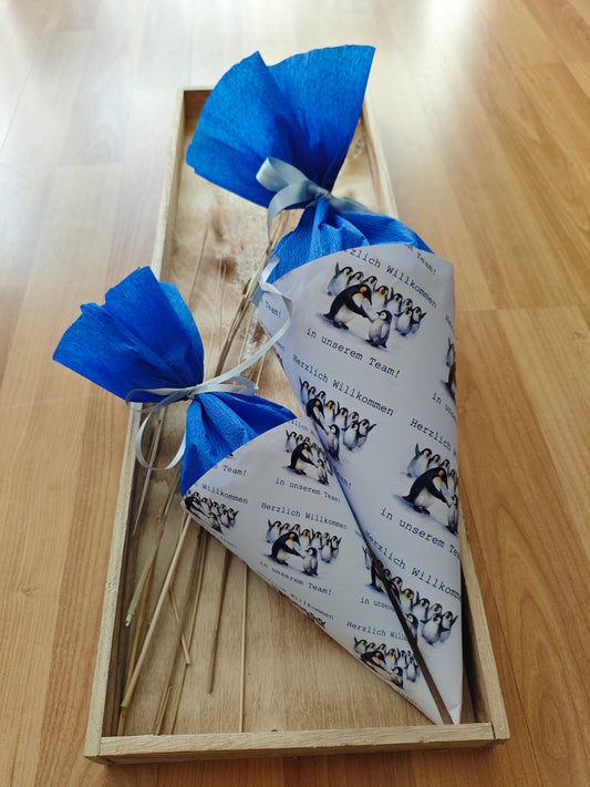 Willkommenstüte – Willkommen im Team – DIY Schultüte zum selber basteln – Sofort-Download