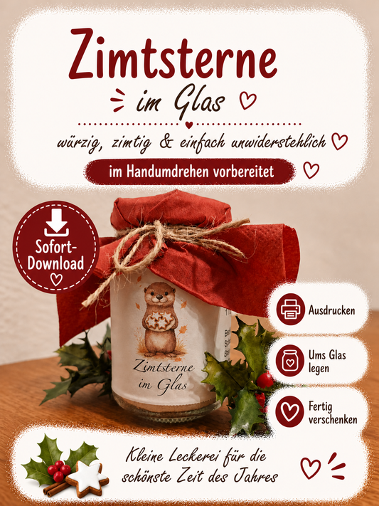 Zimtsterne - kleine Weihnachsfreude